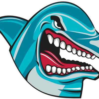 DOLPHIN HD0501 RQC Thumbnail